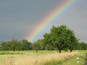 regenboog